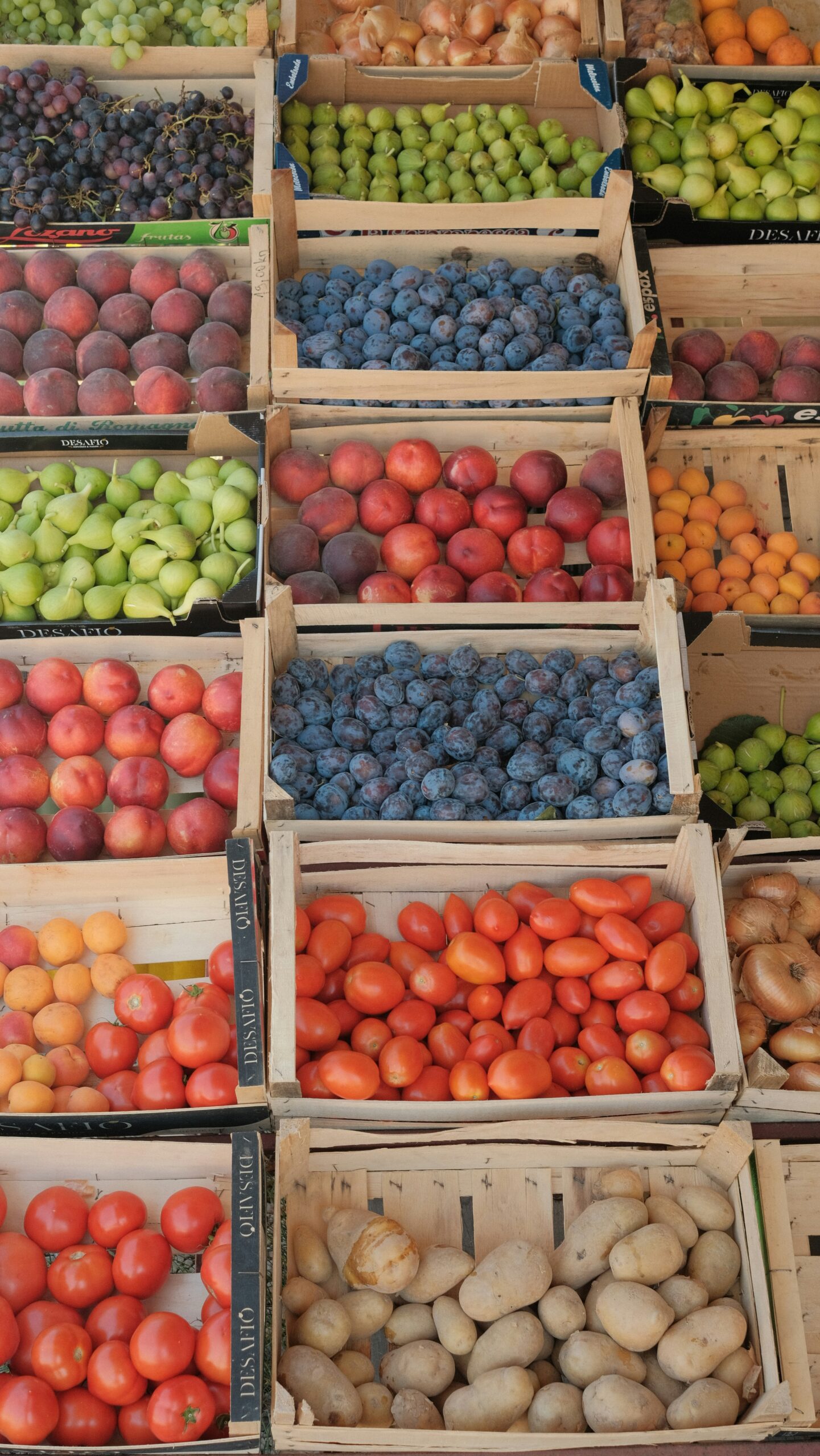 Top Farm Stands Near Navelencia Farms - Navelencia Farms